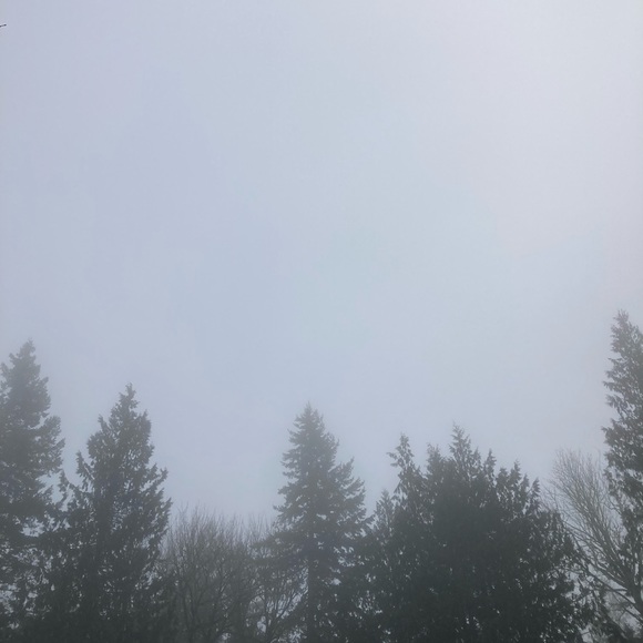 O i . - Picture 3 of 4